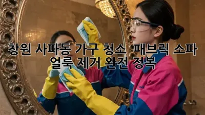 창원 사파동 가구 청소 ✨ 패브릭 소파 얼룩 제거 완전 정복! 🛋️