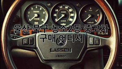 울산 북구 농소2동 중고차 구매, 어디서?
