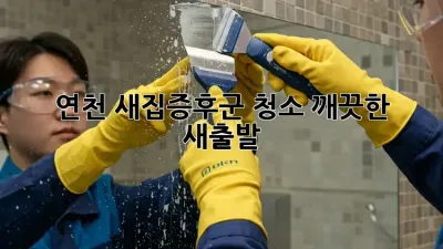연천 새집증후군 청소, 깨끗한 새출발!